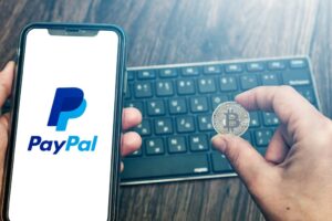 PayPay Review 2023