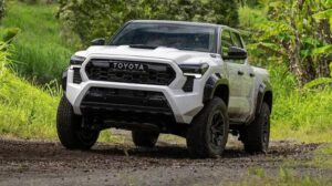 Toyota Tacoma Review: Price, Features Wheels and Is It For Use